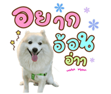598008082