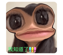 598031093