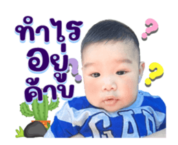 598039846