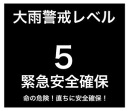598050906