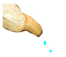 59805385