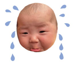 598063699
