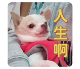 598072585