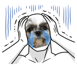 598108999