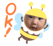 598226644