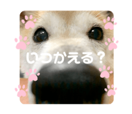 598231114