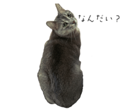 598237389