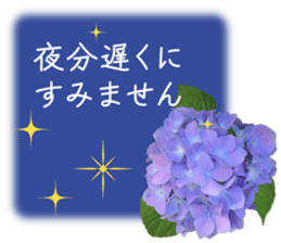 598266097