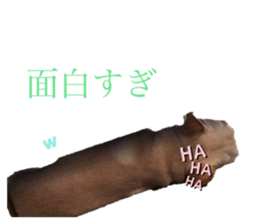 598289682