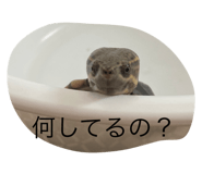 598343691