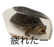 598343692