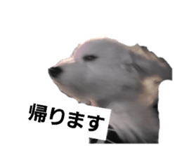 598363330