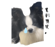 598394928