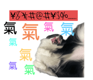 598394940