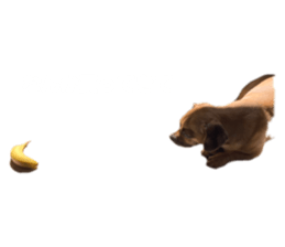 598484545