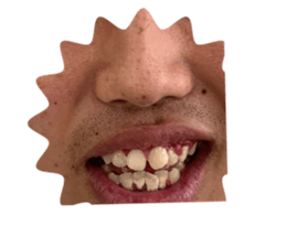 598486558