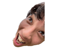 598543838