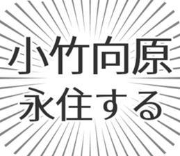 598546286