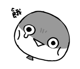 598555907