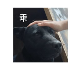 598571216