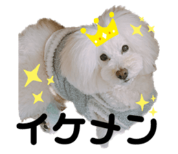 598574465