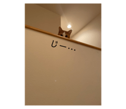 598593539