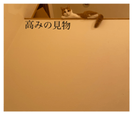 598593549
