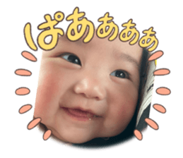 598641581