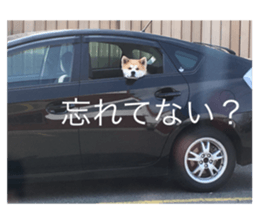 598643408