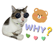 598654386