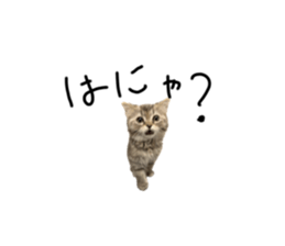 598669546