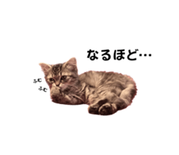 598669555