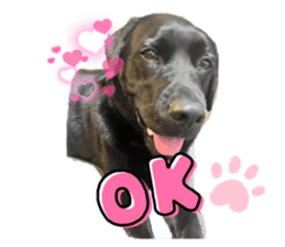 598689870