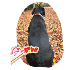 598689873