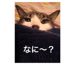 598707382