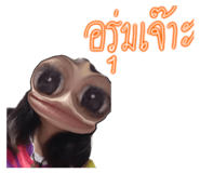 598778609