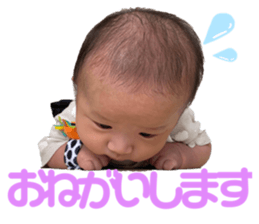 598808544