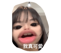 598811378