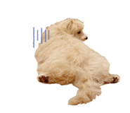 598823065