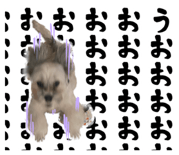 598862615