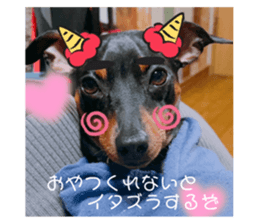 598865734