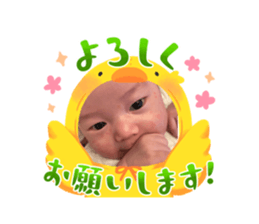 598868613