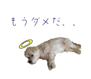 598911011