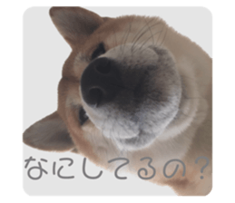 598929116