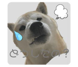 598929117