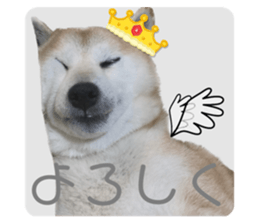 598929121