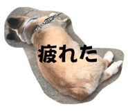 598945701