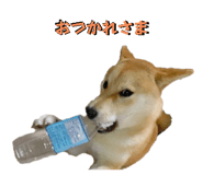 598958978