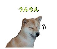 598958979