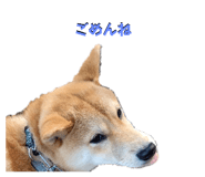 598958980